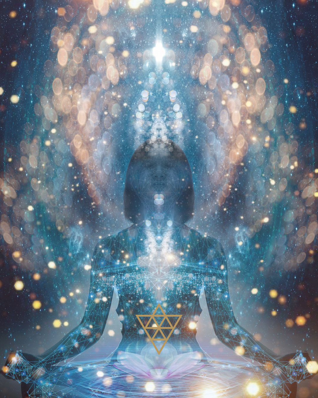Embodied Soul Training — Multidimensional Academy